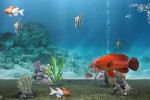 My Aquarium (Wii)