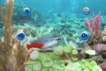 My Aquarium (Wii)