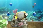 My Aquarium (Wii)