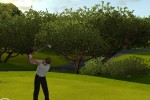 Tiger Woods PGA Tour 09 All-Play (Wii)