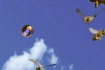 Bubble Trap (iPhone/iPod)