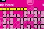 Puzzler Collection (DS)