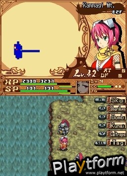Izuna 2: The Unemployed Ninja Returns (DS)