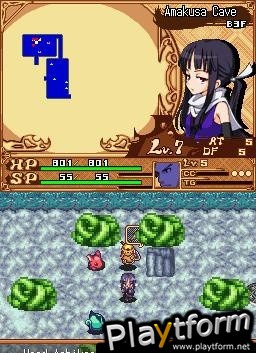 Izuna 2: The Unemployed Ninja Returns (DS)