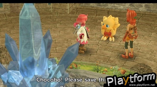 Final Fantasy Fables: Chocobo's Dungeon (Wii)