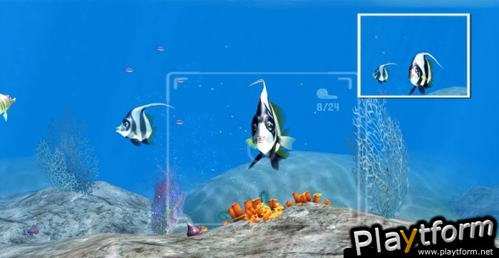 Sea Life Safari (Xbox 360)
