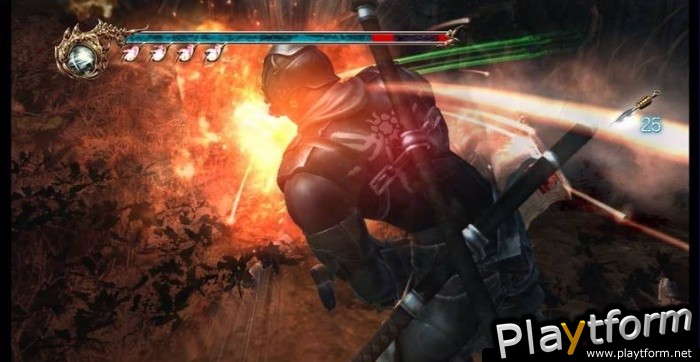 Ninja Gaiden II (Xbox 360)