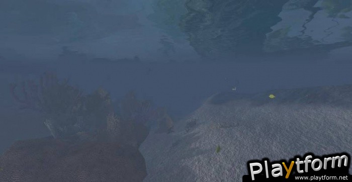 Age of Conan: Hyborian Adventures (PC)