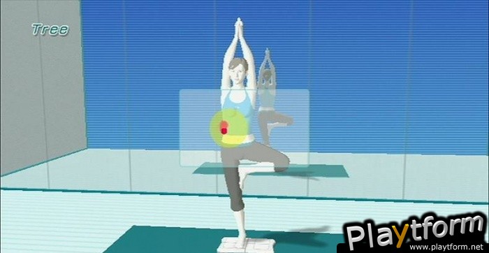 Wii Fit (Wii)