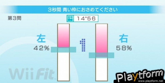 Wii Fit (Wii)