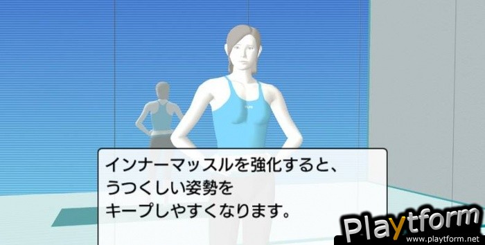 Wii Fit (Wii)