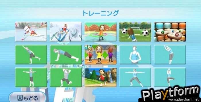 Wii Fit (Wii)