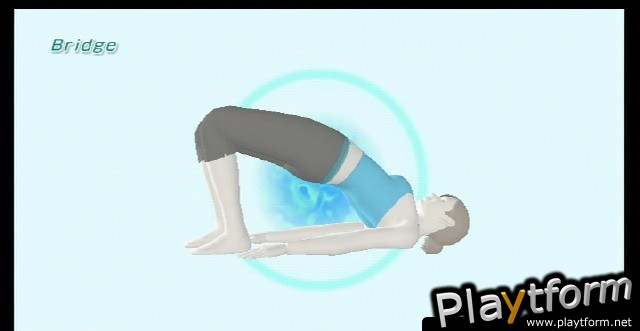 Wii Fit (Wii)