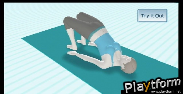 Wii Fit (Wii)