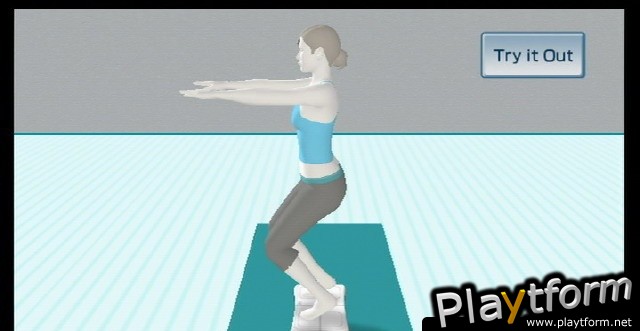 Wii Fit (Wii)