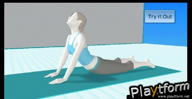 Wii Fit (Wii)