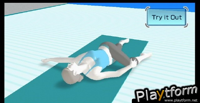 Wii Fit (Wii)