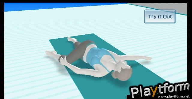 Wii Fit (Wii)