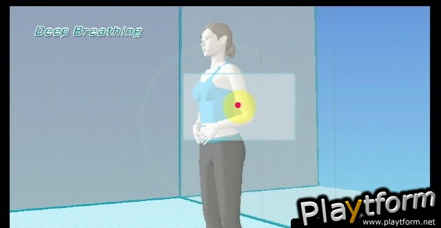 Wii Fit (Wii)