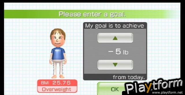 Wii Fit (Wii)