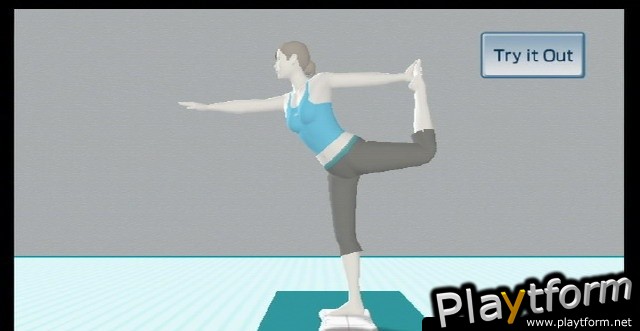 Wii Fit (Wii)