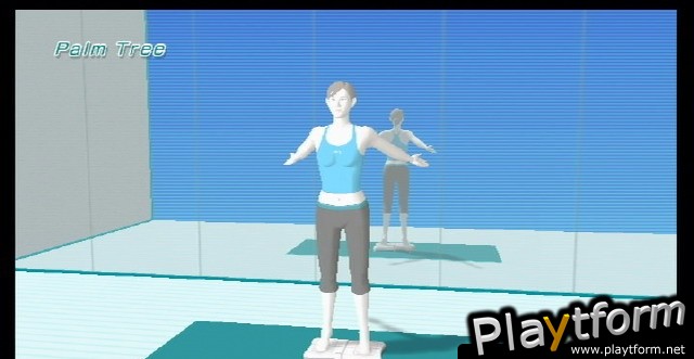 Wii Fit (Wii)