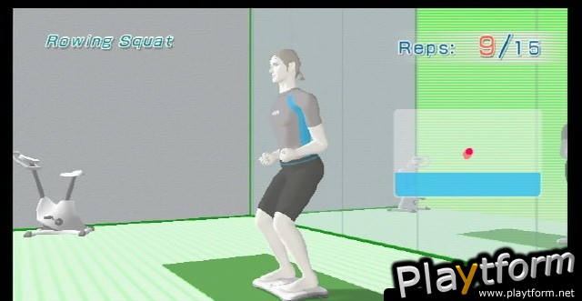 Wii Fit (Wii)