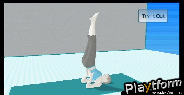 Wii Fit (Wii)