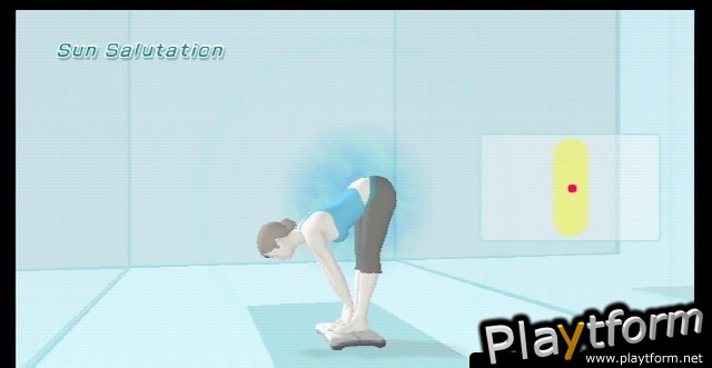 Wii Fit (Wii)