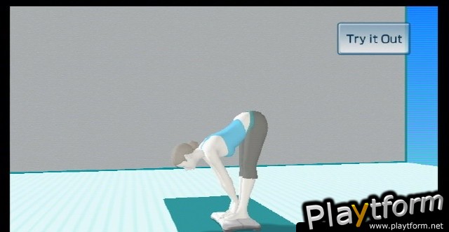 Wii Fit (Wii)