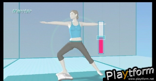 Wii Fit (Wii)