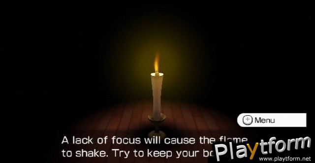 Wii Fit (Wii)