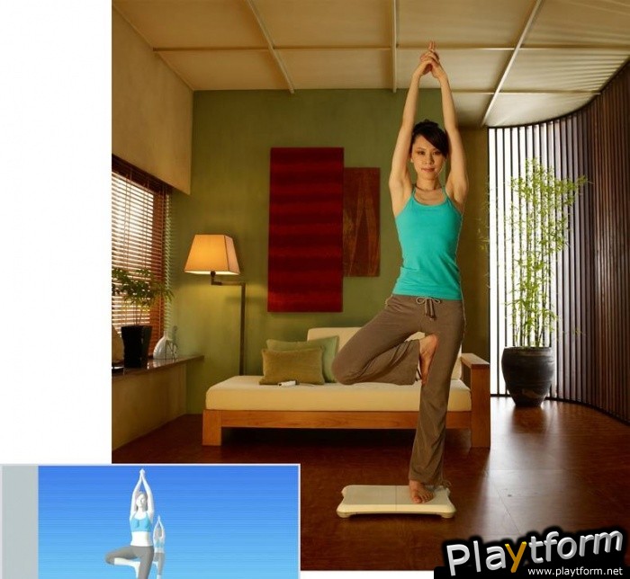 Wii Fit (Wii)