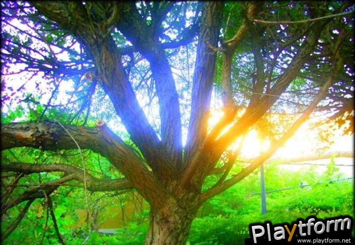 Hope Springs Eternal (PC)