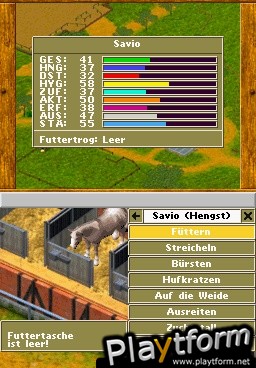 My Riding Stables (DS)