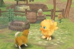 Final Fantasy Fables: Chocobo's Dungeon (Wii)