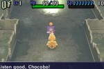 Final Fantasy Fables: Chocobo's Dungeon (Wii)