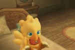 Final Fantasy Fables: Chocobo's Dungeon (Wii)