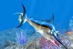 Sea Life Safari (Xbox 360)