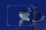 Sea Life Safari (Xbox 360)