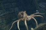 Sea Life Safari (Xbox 360)