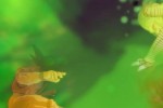 Dragon Ball Z: Burst Limit (PlayStation 3)