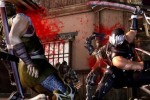 Ninja Gaiden II (Xbox 360)