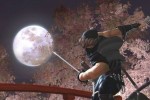 Ninja Gaiden II (Xbox 360)