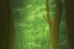 Aqua Forest (iPhone/iPod)