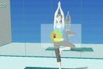 Wii Fit (Wii)