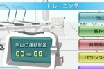 Wii Fit (Wii)