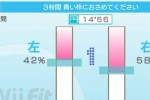 Wii Fit (Wii)