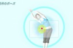 Wii Fit (Wii)