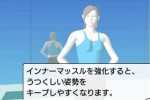 Wii Fit (Wii)